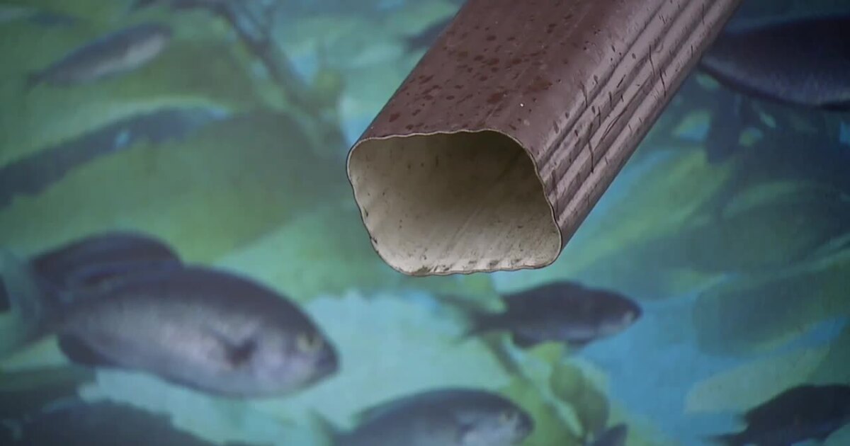 Sleep Apnea: Why Top Experts Are Calling This the Most Ingenious Pillow of 2025