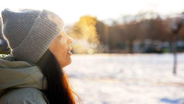 Sleep Apnea: Why Top Experts Are Calling This the Most Ingenious Pillow of 2025