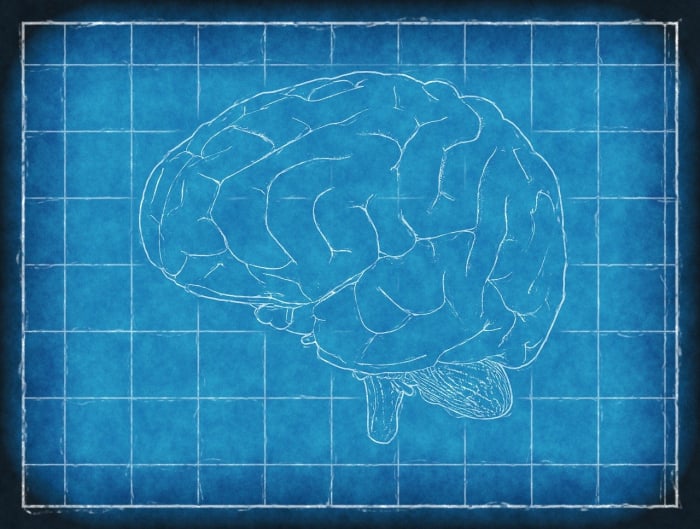 Sleep Apnea: Why Top Experts Are Calling This the Most Ingenious Pillow of 2025
