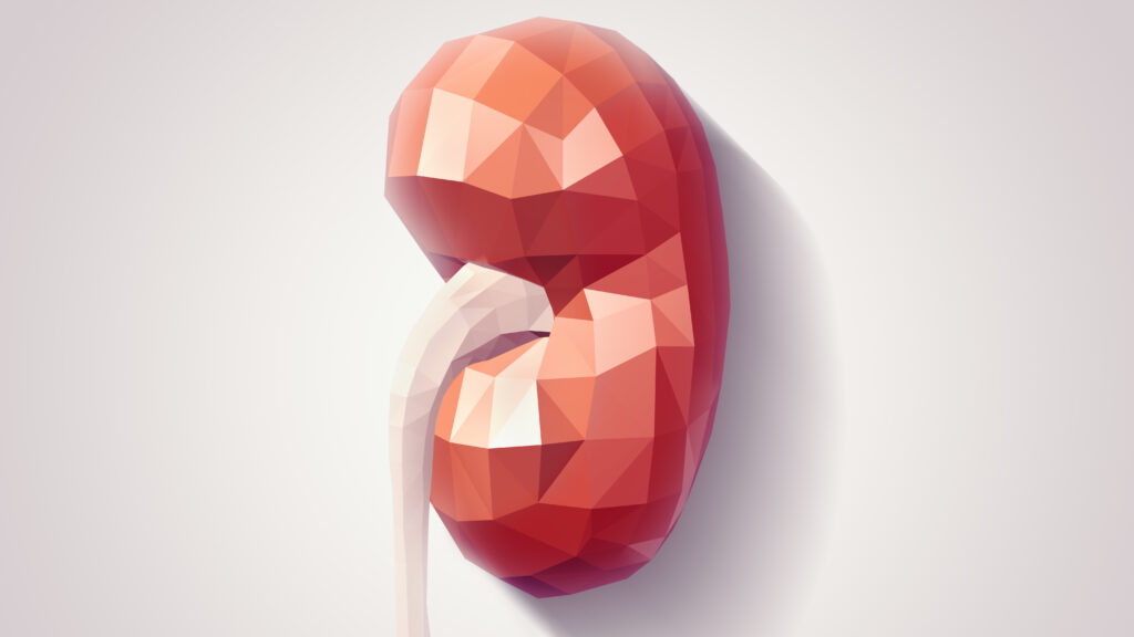 Sleep Apnea: Why Top Experts Are Calling This the Most Ingenious Pillow of 2025
